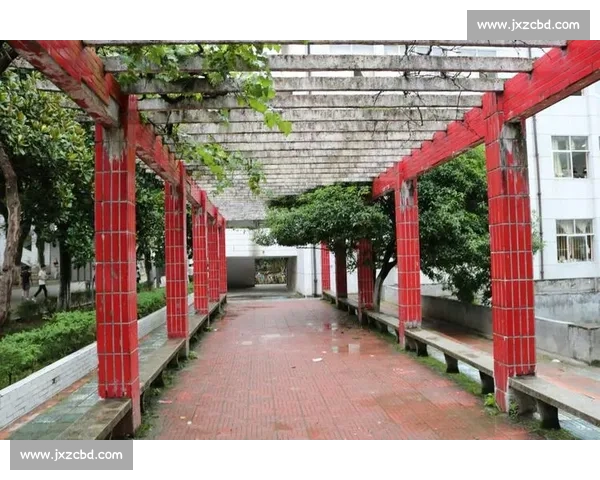 热血与意志的终极较量斯巴达勇士比赛全景纪实挑战极限征途荣耀之路 热血与意志的终极较量斯巴达勇士比赛全景纪实挑战极限征途荣耀之路