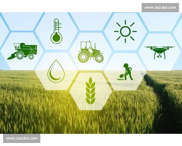 以英语为核心的国际赛事交流与竞技能力综合提升路径探索研究